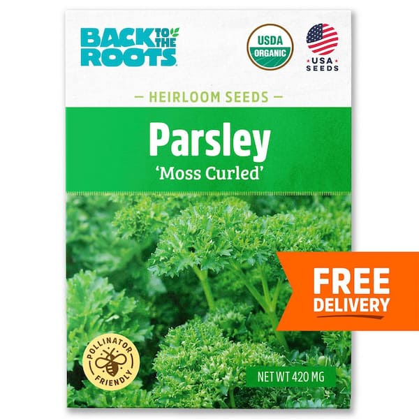 Back to the Roots Organic Parsley Double Curled Heirloom Vegetable Seeds