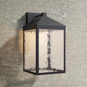 Aaron 9 in. LED Light Powder Coated Black Outdoor Clear Textured