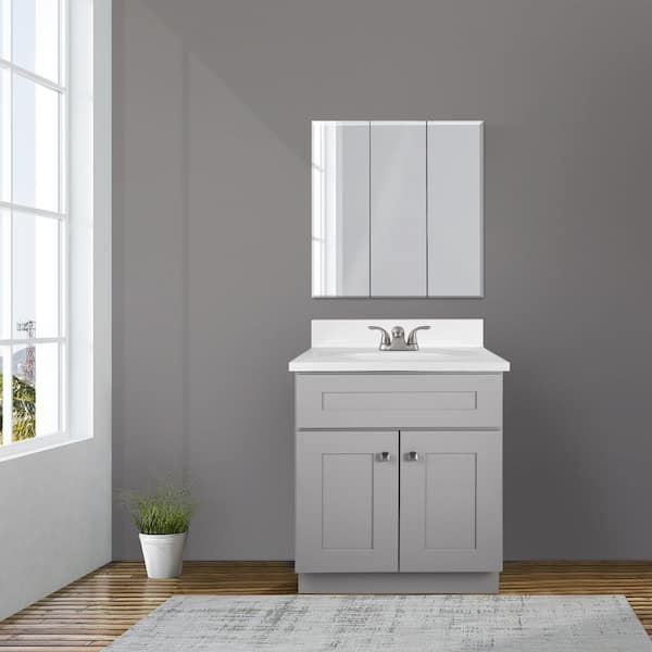 Design House 25 in. W x 22 in. D x 34 in. H Vanity with