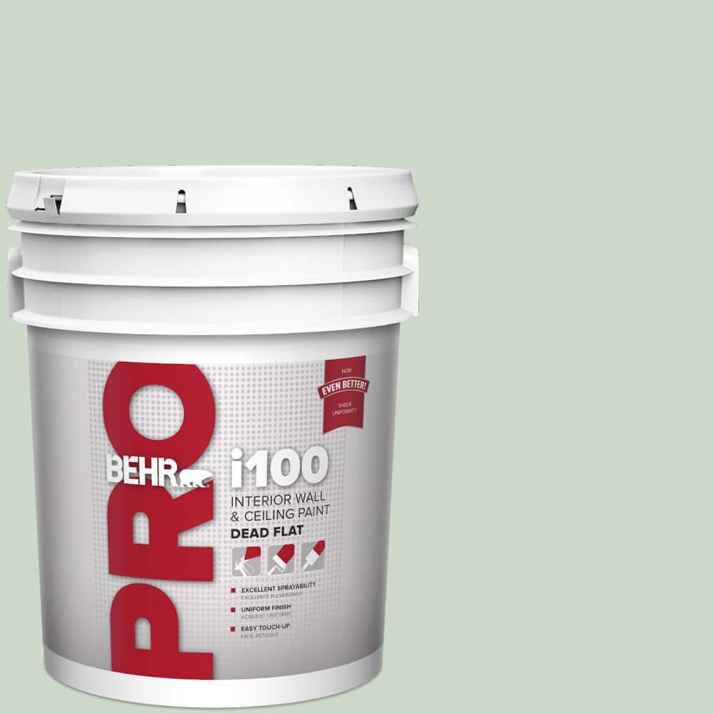 5 gal. #450E-2 April Mist Dead Flat Interior Paint price history on PriceWatchPro
