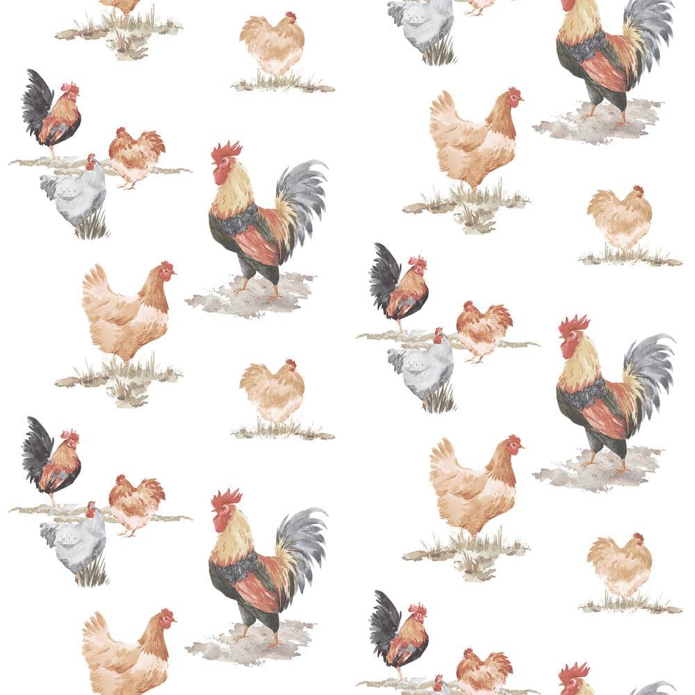 Free Range Chickens Black/Red/Beige Matte Finish Vinyl on Non-Woven Non-Pas