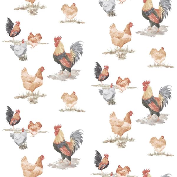 Unbranded Free Range Chickens Black/Red/Beige Matte Finish Vinyl on Non-Woven Non-Pasted Wallpaper Roll