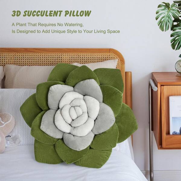 a zz plant ZZ plant Zamioculcas Zamiifoli – Plant and People