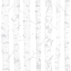 Grey Birdie Birch Matte Paper Non-Pasted Wallpaper Roll