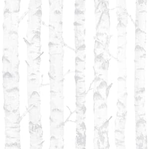 Grey Birdie Birch Matte Non-Pasted Wallpaper Sample