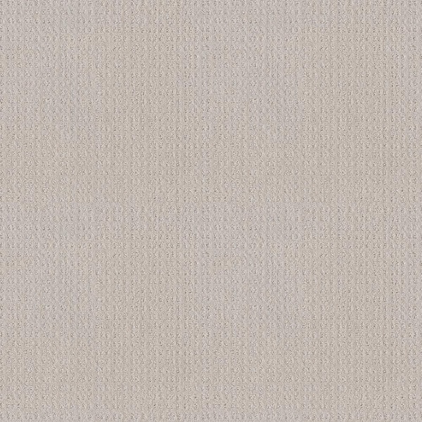 Lifeproof Boxton - Gallery White - Beige 32.7 oz. Nylon Pattern Installed Carpet