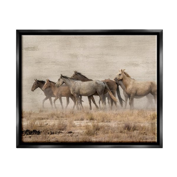Stupell Industries Galloping Horse Herd Countryside by Danita Delimont 1-Piece Black Floater Frame Animal Graphic Art Print 31 in. x 25 in.