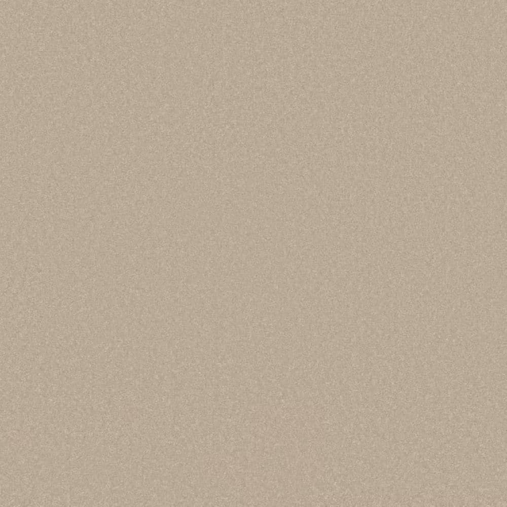 8 in. x 8 in. Texture Carpet Sample-Park Royal I-Color Latte price history on PriceWatchPro