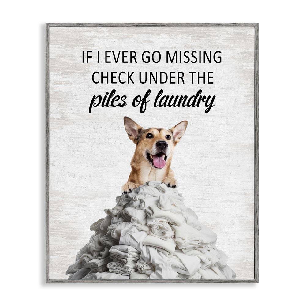 Piles Of Laundry Dog by Lettered and Lined Gray Framed Typography Giclee Art Print 30 in. x 24 in. price history on PriceWatchPro