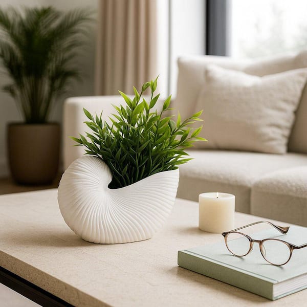 White 10 in. x 6 in. Stoneware Coastal Nautilus Shell Decorative Pot