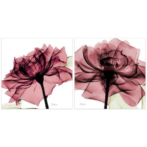 "Chianti Rose" Unframed Free Floating Tempered Art Glass Flower Wall Art Print 24 in. x 24 in. (Set of 2)