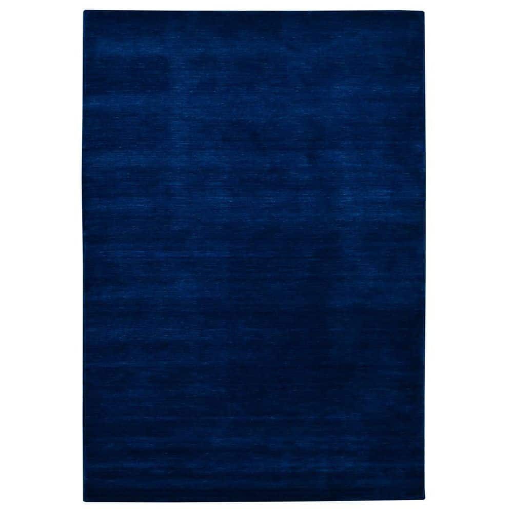 4 ft. x 6 ft. Navy Blue Wool Hand Woven Area Rug price history on PriceWatchPro