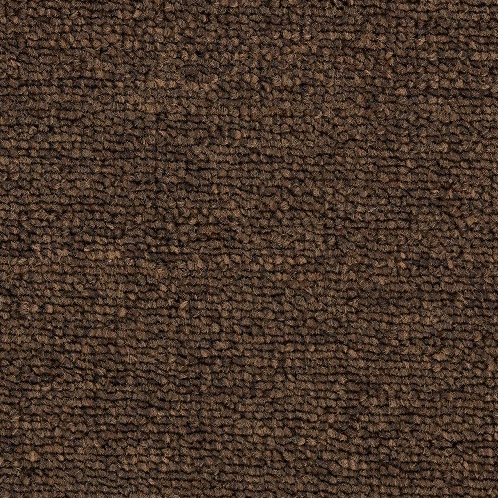 8 in. x 8 in. Loop Carpet Sample - Main Rail Base -Color Tanbark price history on PriceWatchPro
