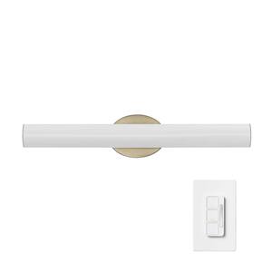 Pacific 24 in. 1-Light Brass LED Integrated Vanity-Light with Frosted Acrylic Diffuser and Wall Mounted Dimmer Remote