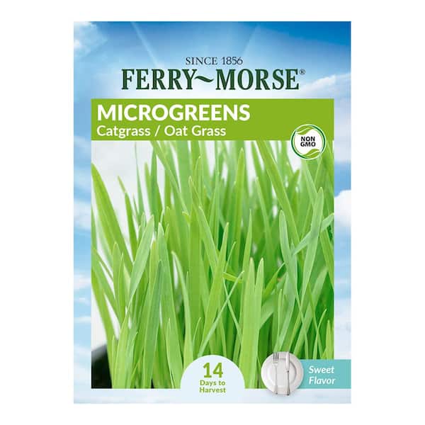 Ferry-Morse Catgrass Micro-greens Herb Seeds