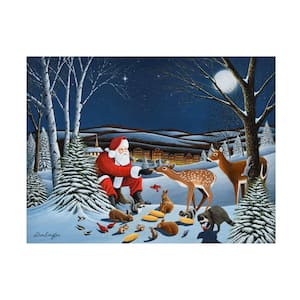 Unframed Home Don Engler 'Peace On Earth' Photography Wall Art 14 in. x 19 in.