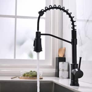 Single Handle Kitchen Faucet with Pull Down Sprayer Single Hole Brass Commercial Modern Kitchen Basin Tap in Matte Black