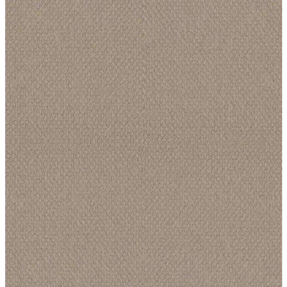 Home Decorators Collection 8 in x 8 in. Loop Carpet Sample - Hickory Lane - Color Fawn -  HDF4646109