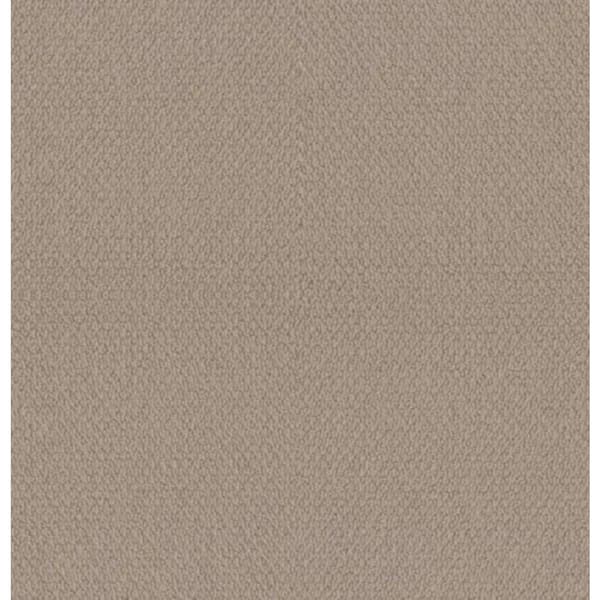 Home Decorators Collection 8 in x 8 in.  Loop Carpet Sample - Hickory Lane - Color Fawn