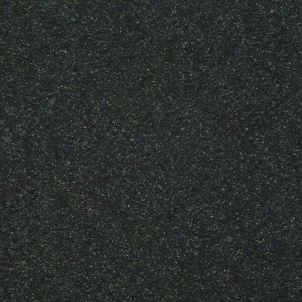 Home Decorators Collection 8 in. x 8 in. Texture Carpet Sample - Full Bloom I - Color Deep Space
