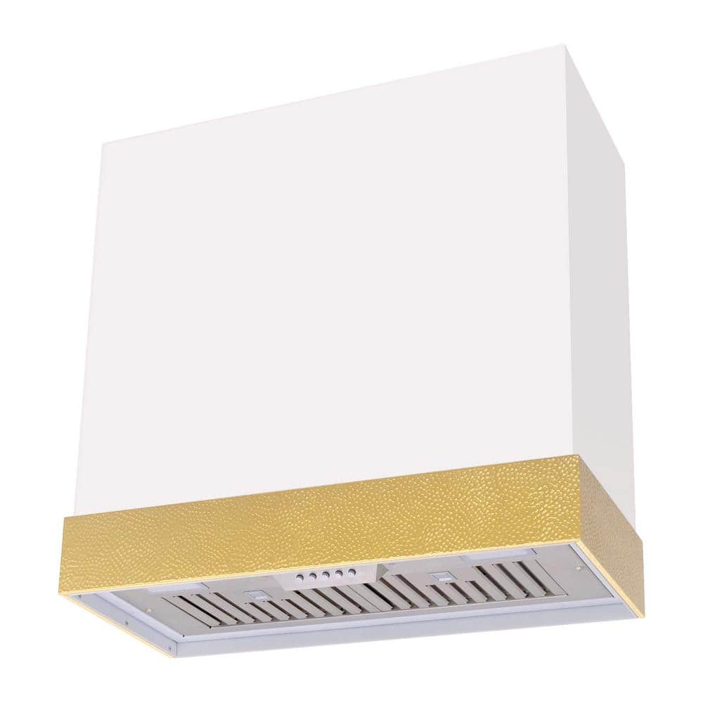 Akicon 30 in. 600 CFM Ducted Wall Mount Range Hood with 3-Speed Push Control, LED Lights and Carbon Filter, in White with Gold