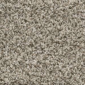 8 in. x 8 in. Texture Carpet Sample - Trendy Threads I -Color Popular