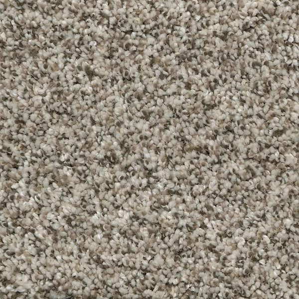 Home Decorators Collection 8 in. x  8 in. Texture Carpet Sample - Trendy Threads I -Color Popular