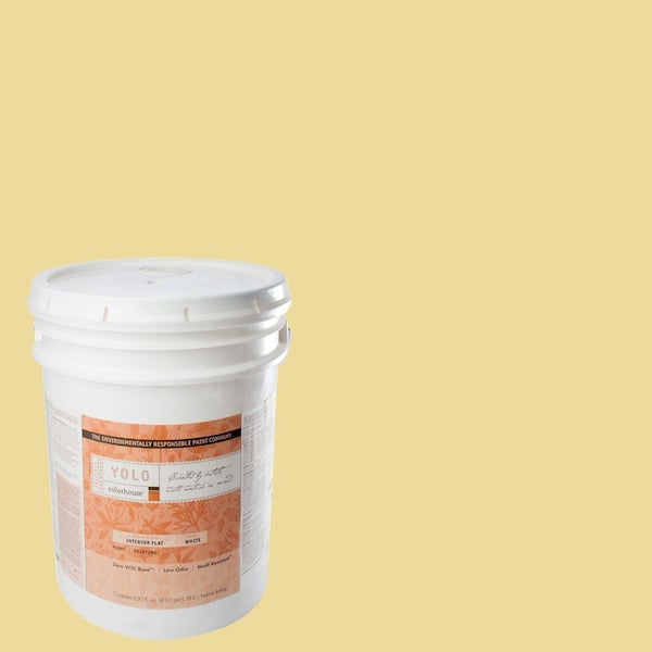 YOLO Colorhouse 5-gal. Aspire .03 Flat Interior Paint-DISCONTINUED