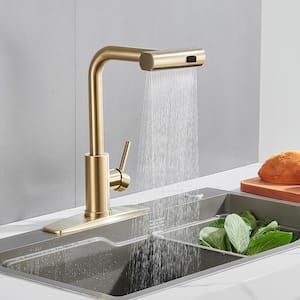 Single Handle Pull Down Sprayer Kitchen Faucet with Deckplate Pull Out Spray Wand in Gold