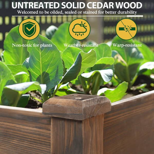 48 in. L x 24 in. W x 30 in. H Carbonized Cedar Raised Garden Bed with Liner