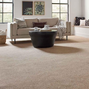 Hanville  - Salutation - Brown 27 oz. SD Polyester Loop Installed Carpet