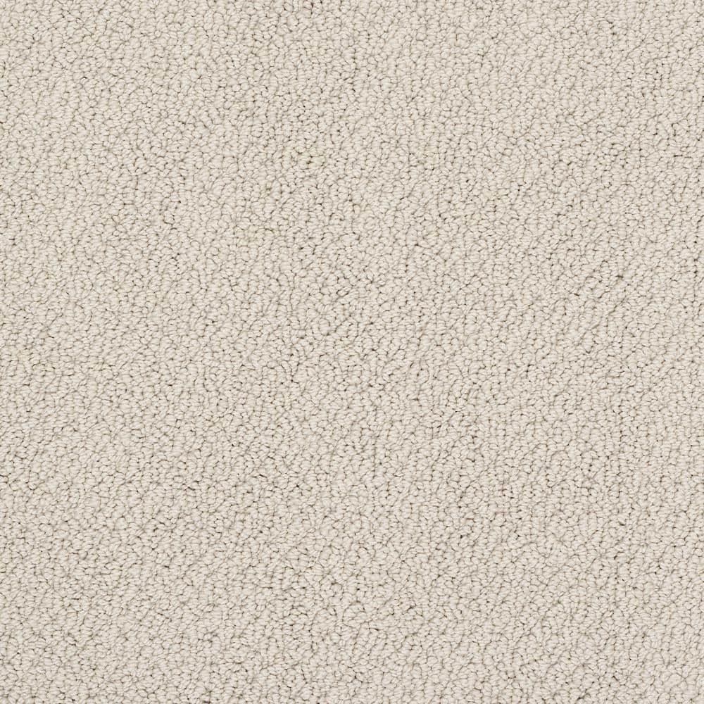 8 in. x 8 in. Loop Carpet Sample - Lightbourne - Color Buff price history on PriceWatchPro