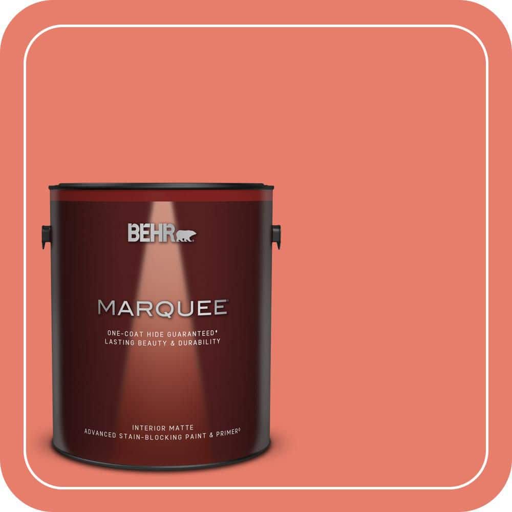 1 gal. Home Decorators Collection #HDC-SM14-12 Cosmic Coral Matte Interior Paint & Primer product image for price tracking