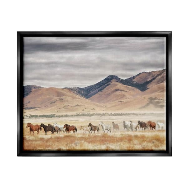 The Stupell Home Decor Collection Wild Horses Roaming Across Western Landscape by PH Burchett Floater Frame Animal Wall Art Print 17 in. x 21 in.