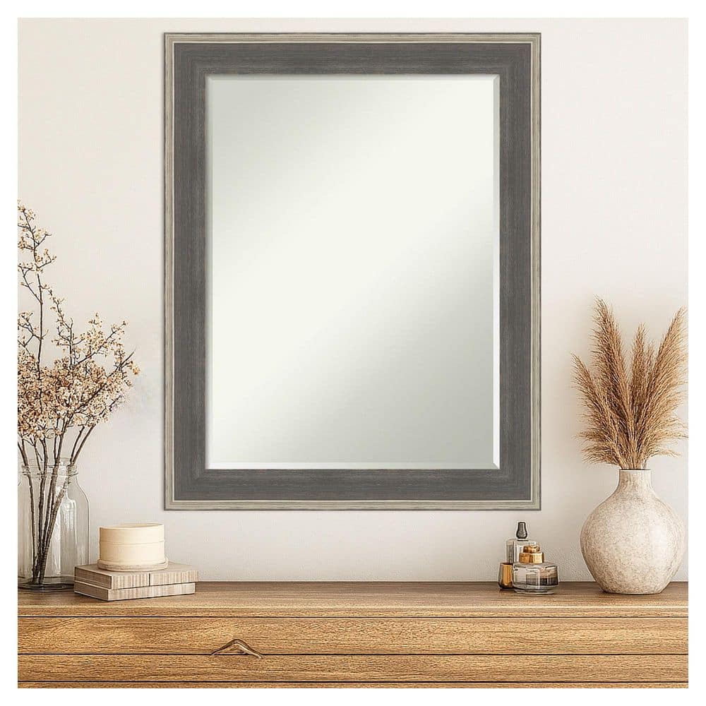 Cottage Grey Silver 22.5 in. x 28.5 in. Petite Bevel Casual Rectangle Wood Framed Wall Mirror price history on PriceWatchPro