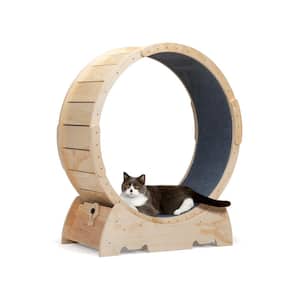 Large Cat Exercise Wheel, Treadmill