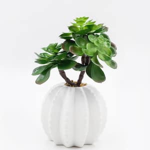 10 in. Tall Succulents Artificial Indoor/ Outdoor Faux Decor in Matte Finished Ceramic Vase