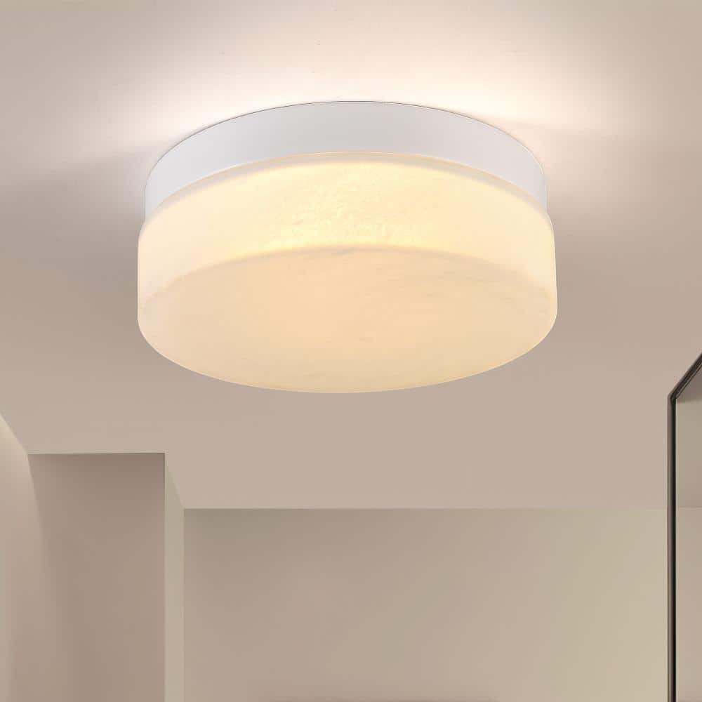 12 in. LED Ceiling Light, 24W Flush Mount Ceiling Light, Round Low Profile Design for Bedroom, Living Room, White price history on PriceWatchPro