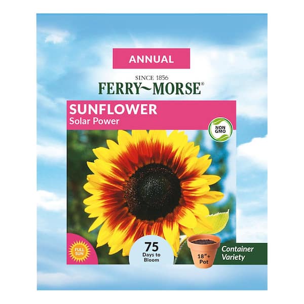 Ferry-Morse Sunflower Solar Power Flower Seed