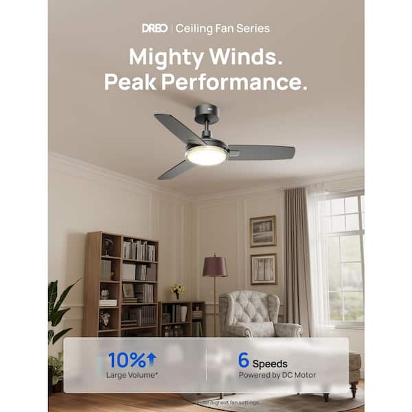 42 in. Indoor Black Standard Ceiling Fan, Downrod Mount with Light and Remote