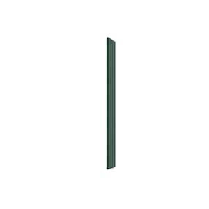 Miami Emerald Green Matte 6 in. W x 0.625 in. D x 42 in. H Flat Stock Assembled Base Kitchen Cabinet Outdoor Filler S