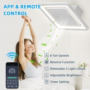 22 in. Indoor White Indoor Ceiling Fan with Adjustable White Integrated LED, Remote Included
