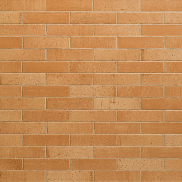 Sienna Terracotta Peach 2.55 in. x 9.84 in. Matte Porcelain Floor and Wall Tile (4.72 sq. ft./Case)