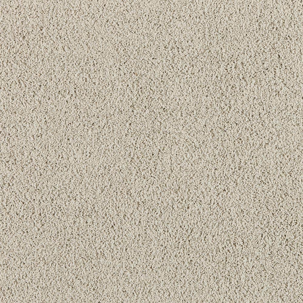 8 in. x 8 in. Texture Carpet Sample - Radiant Retreat II - Color Cloudy Gray price history on PriceWatchPro