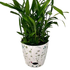7 in. Wildflower Round Self-Watering Bamboo Pot