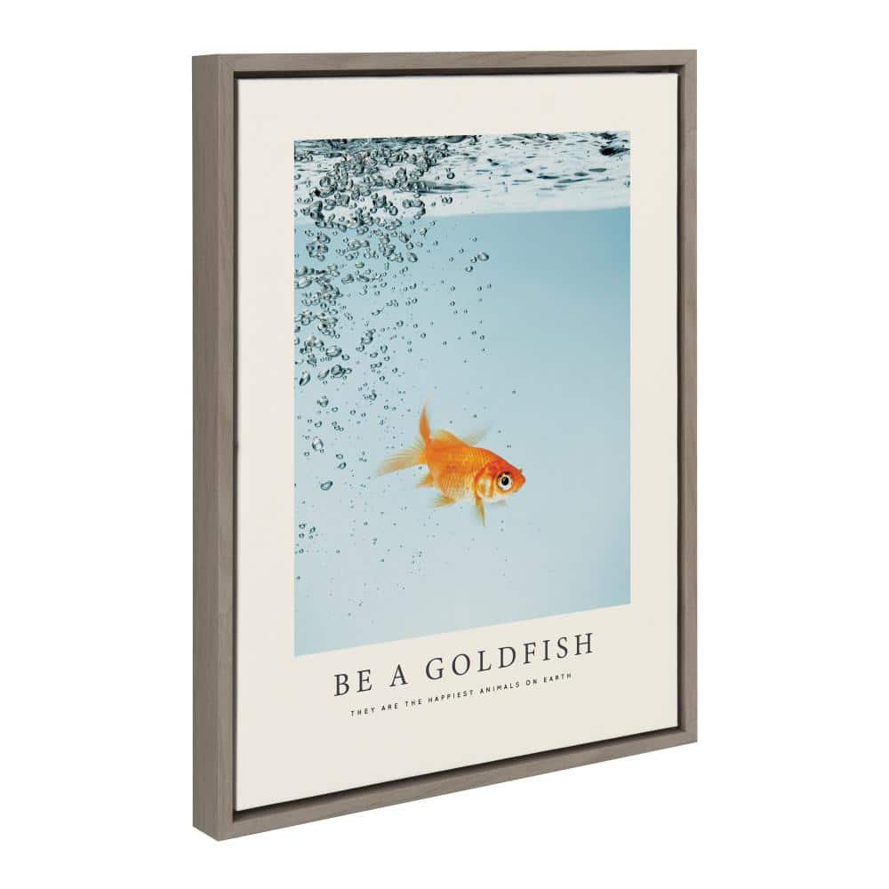 Gray Framed Canvas Print with Goldfish, 18" x 24"