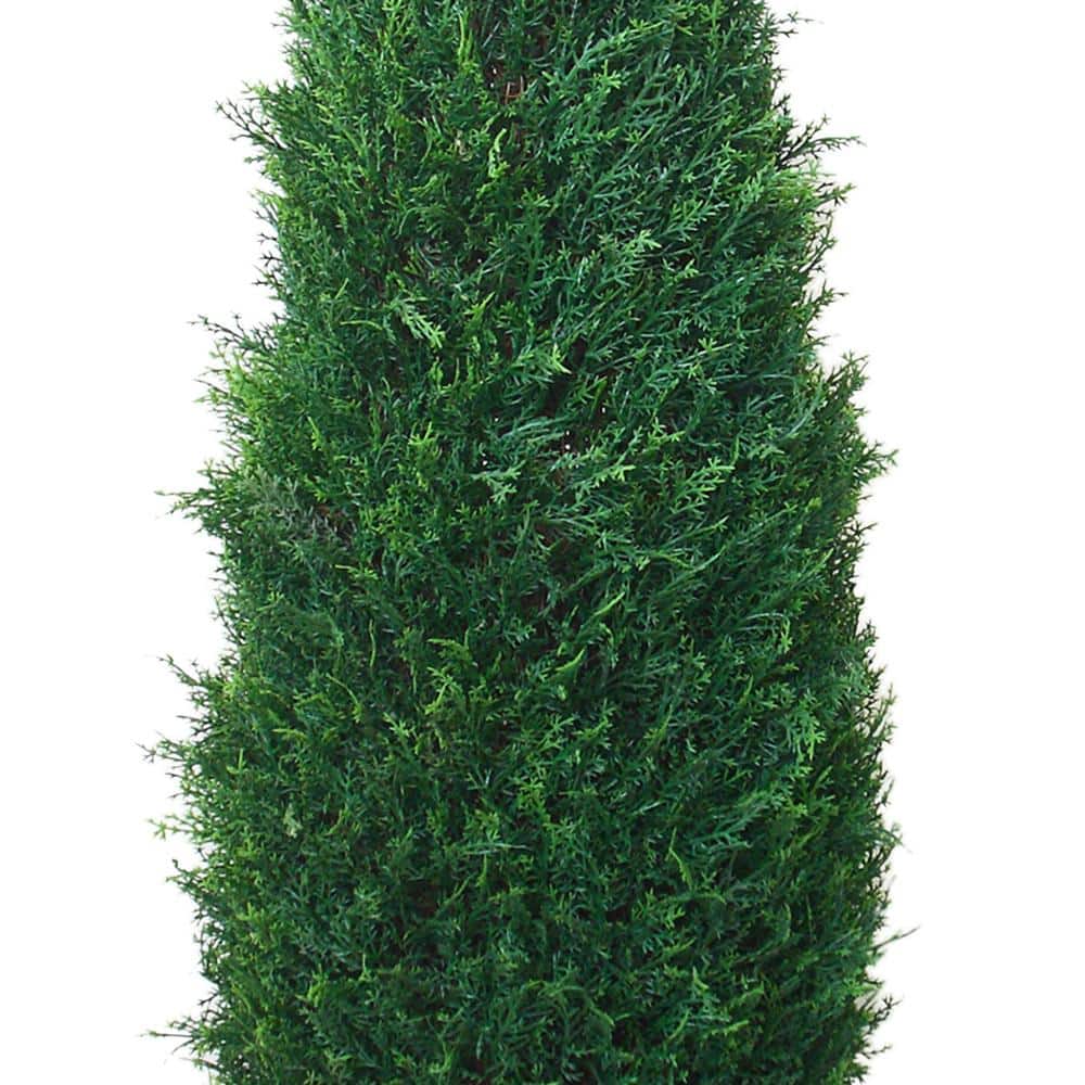 41-Inch Faux Potted Cypress Tree with Black Plastic Pot