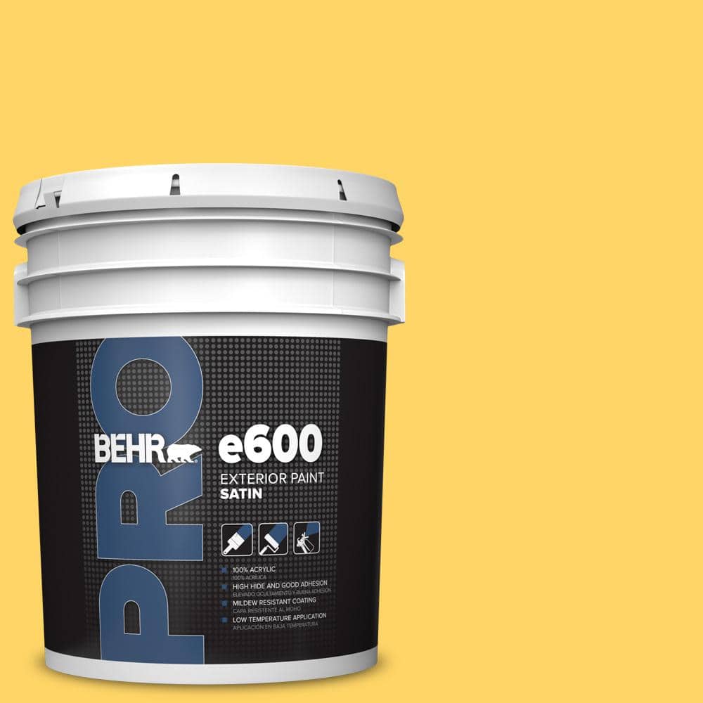 5 gal. #P290-5 Squash Blossom Satin Exterior Paint price history on PriceWatchPro