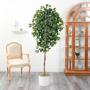 6 ft. Ficus Artificial Tree in White Tin Planter