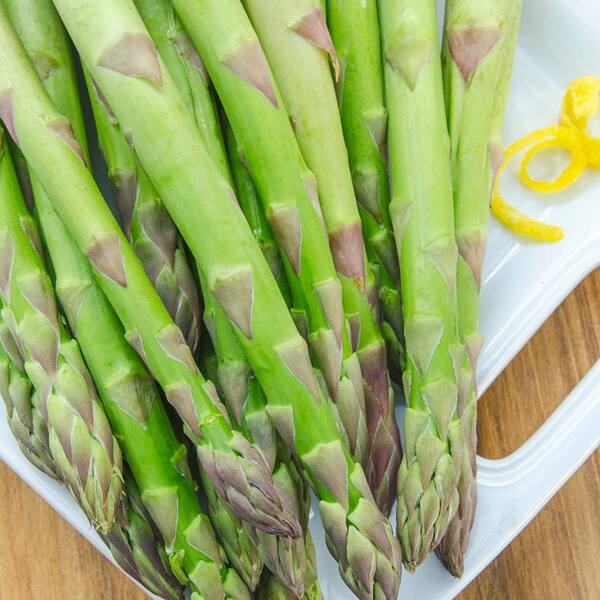Gurney's Spartacus Asparagus Standard Grade Dormant Bare Root Vegetable Starter Roots (10-Pack)